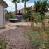22010 N MIRAGE LN, Sun City West Back Patio 2