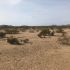 Land For Sale At 76625 56th St Salome