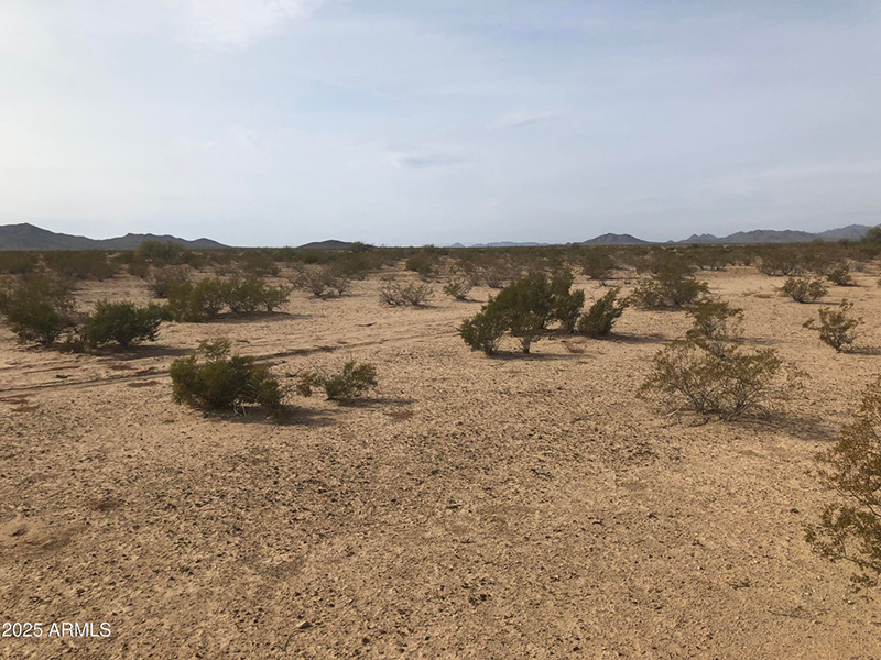Land For Sale At 76625 56th St Salome