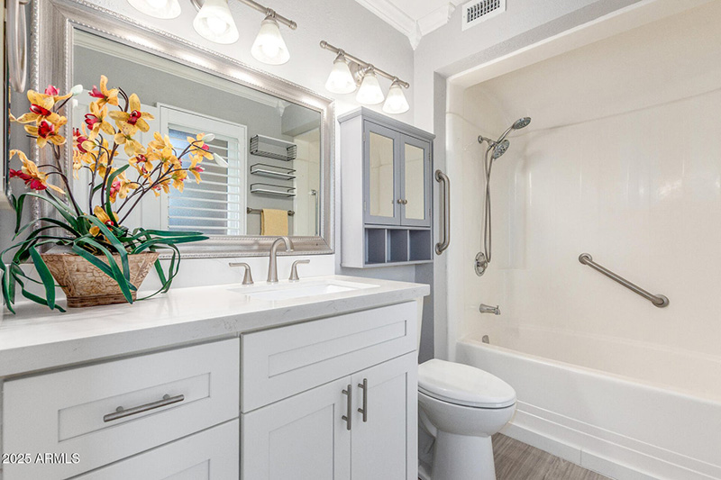 10826 W Brookside Dr Sun City BathRoom 1